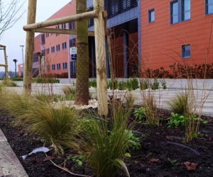 Plac przed Netto Areną po przebudowie