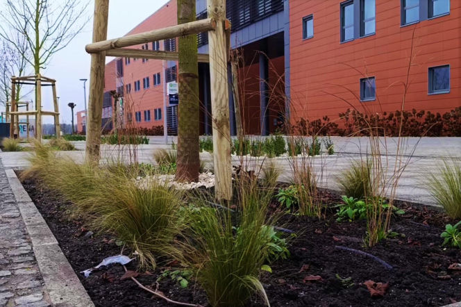 Plac przed Netto Areną po przebudowie