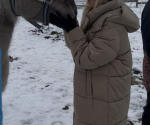 Joanna Krupa odwiedza schronisko dla zwierząt