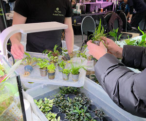 Egzotyczny świat zawitał do Bydgoszczy! Pająki i węże były na wyciągnięcie ręki