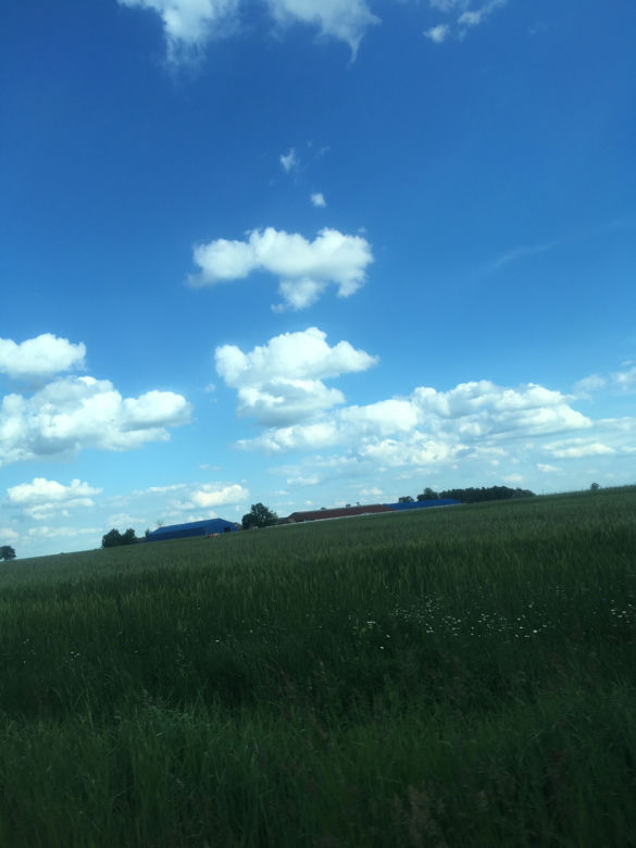 Wzięła na siebie winę męża. Tajemnicze postrzelenie czterolatki pod Rykami