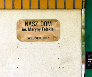 Dostała mandat za dobre serce!