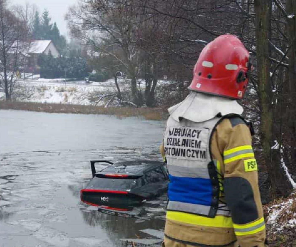 Elektryczna kia wjechała do stawu. 47-latek próbował uniknąć potrącenia zwierzęcia