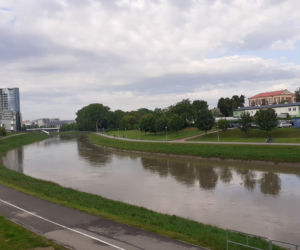 Wysoka woda na Wisłoku