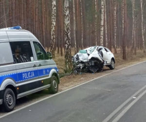 Groźny wypadek pod Bydgoszczą! Kierowca zakleszczony w aucie po uderzeniu w drzewo