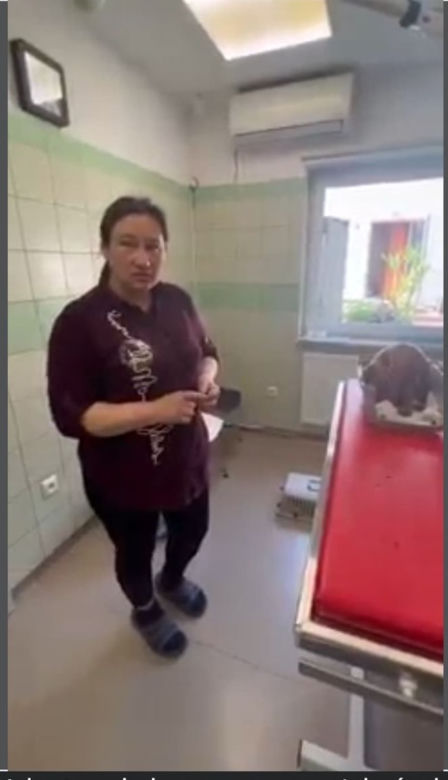 Suczka Alisa przyjechała z Ukrainy do Polski na cesarskie cięcie [GALERIA]