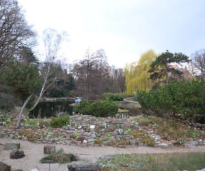 Ogród Botaniczny Uniwersytetu Wrocławskiego