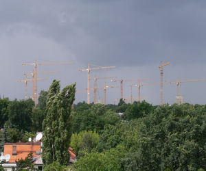 zurawie1.jpg