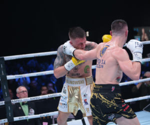 Kalinowski - Stępień