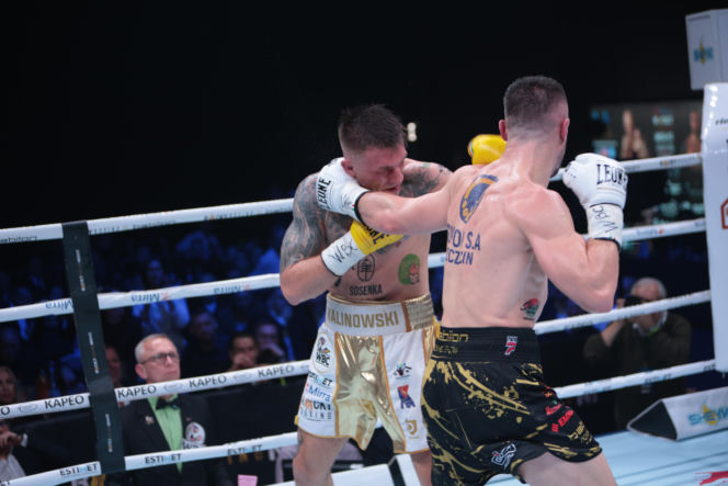 Kalinowski - Stępień