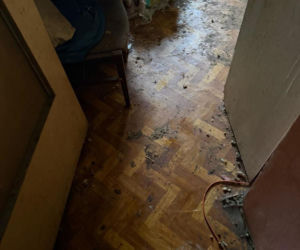 Psy żyły w koszmarnych warunkach