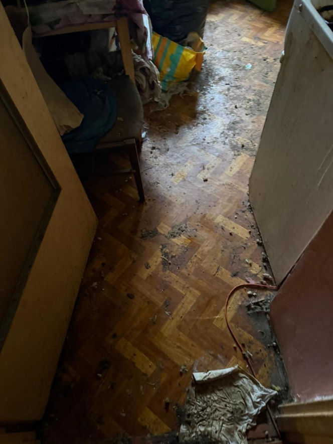 Psy żyły w koszmarnych warunkach