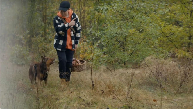 Barwy szczęścia odc. 3232. Ksawery (Bartosz Gruchot), pies Mario