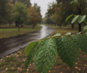 Pogodowe zawirowania nad Soliną! Będzie upalny piątek, ale weekend zakończy się ulewą
