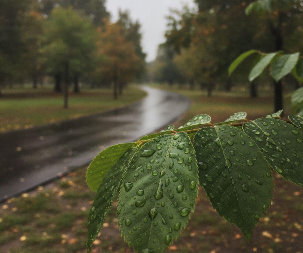 Pogodowe zawirowania nad Soliną! Będzie upalny piątek, ale weekend zakończy się ulewą