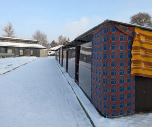 Zdjęcia z kontroli w bytomskim schronisku