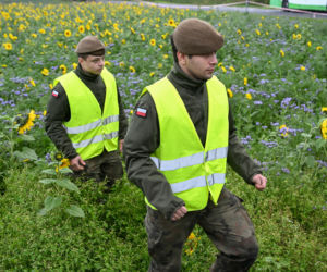 Służby przeszukują teren w okolicy Zalewu Zemborzyckiego
