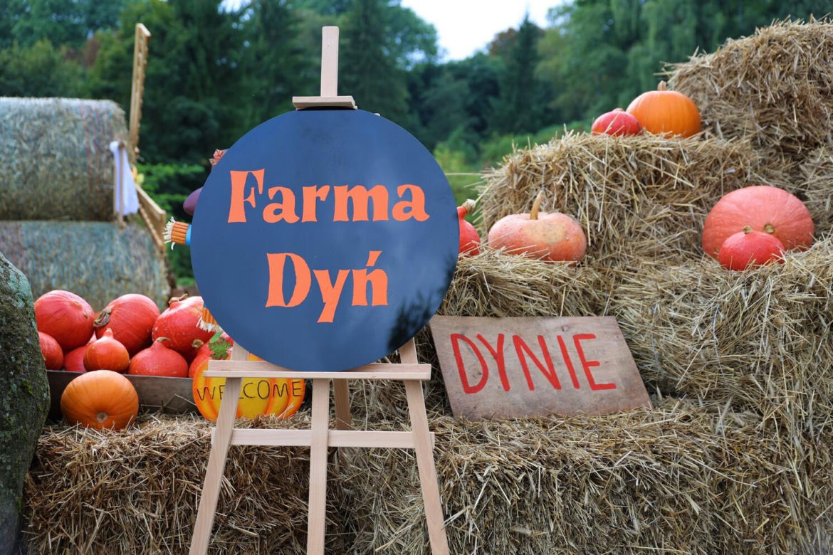 Farma dyń 2023 w Lublinie. Tak było w weekend otwarcia!