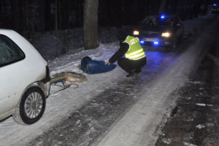 Elbląg. Straszliwa tragedia w trakcie zabawy! Zmarła 15-latka, która podczas kuligu uderzyła w drzewo