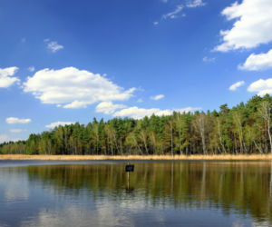  9. Pojezierze Palowickie