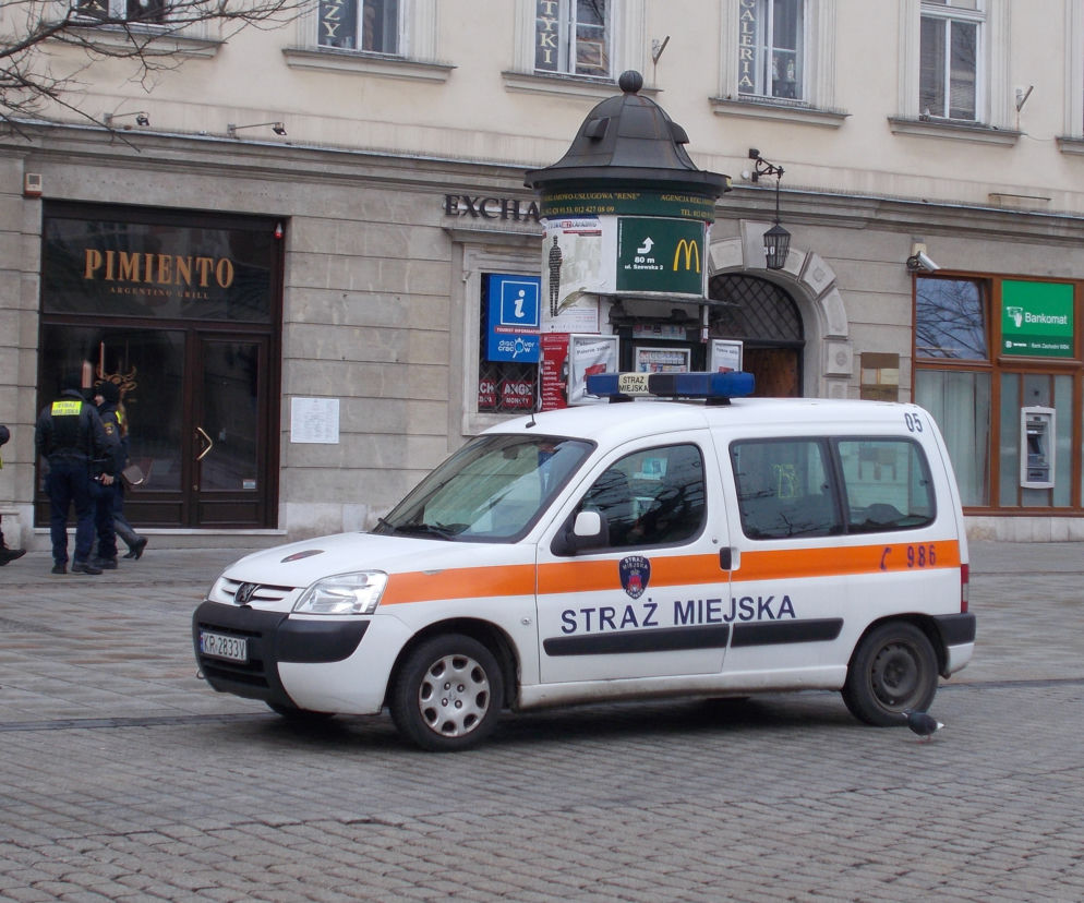 Zdjęcie poglądowe