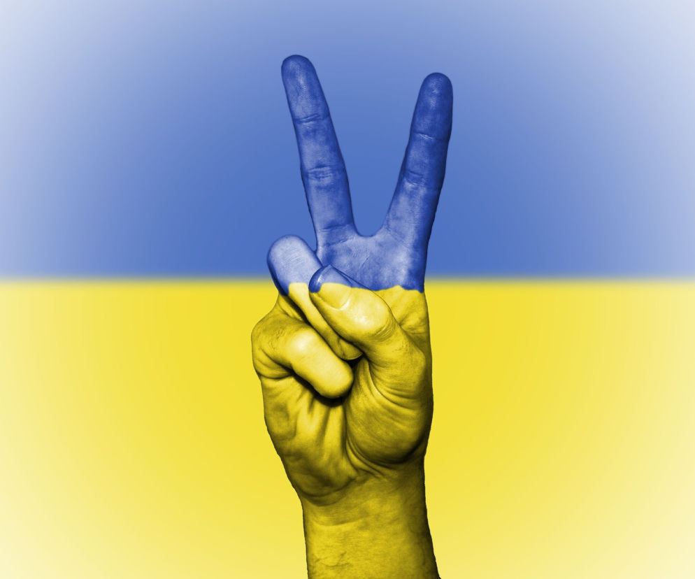 Wojna na Ukrainie 