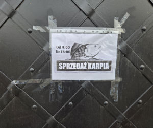 Siostry Benedyktynki ze Staniątek rozpoczęły sprzedaż karpia