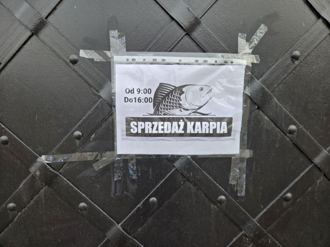 Siostry Benedyktynki ze Staniątek rozpoczęły sprzedaż karpia