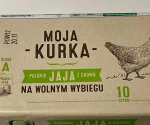 GIS ostrzega: Nie jedz TYCH JAJEK! Możesz zarazić się salmonellą [ZDJĘCIA, NUMER PARTII]
