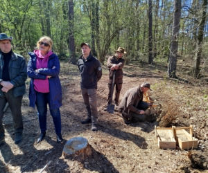 W Lesie Sekulskim rośnie już kilkaset nowych, młodych buków! Drzewa zasadzili członkowie siedleckiego samorządu i leśnicy