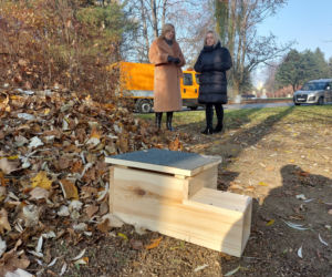 Domki dla jeży w rzeszowskich parkach