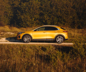 Kia XCeed 1.6 T-GDI 204 KM 7DCT XL
