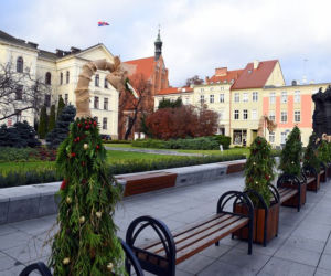 Magia świąt opanowała Bydgoszcz! Na Starym Rynku pojawiła się choinka! [ZDJĘCIA]