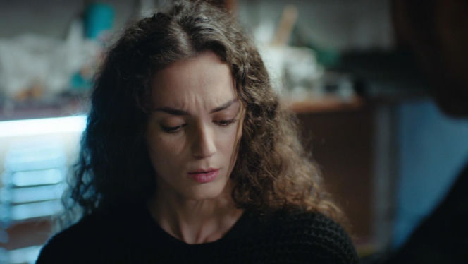 Dziedzictwo, odc. 879. Nana, Poyraz