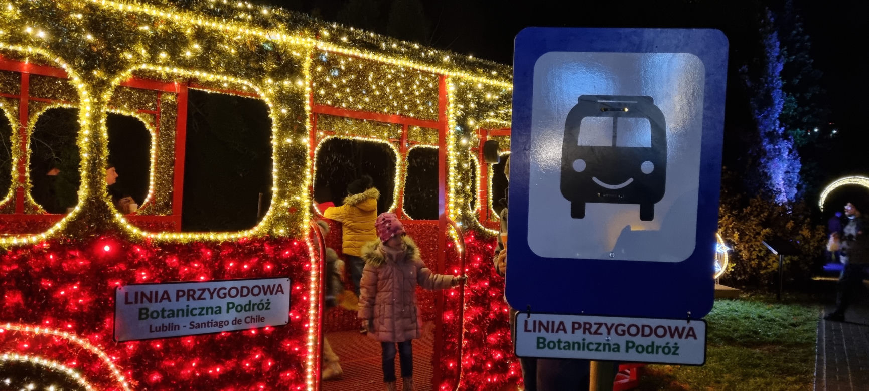 Ogród Botaniczny po zmroku zamienia się w magiczny ogród [GALERIA]