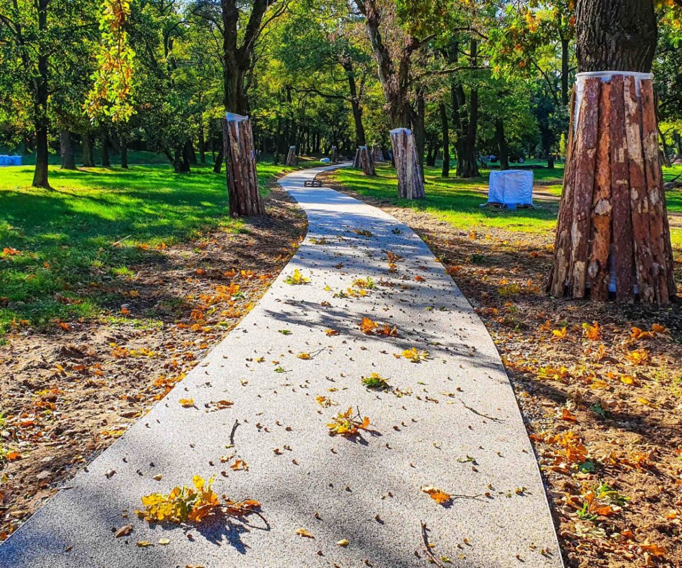 Kolejny park w Poznaniu przechodzi metamorfozę!