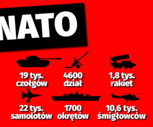 Wojna na Ukrainie. Jakie wojska mają Ukraina i Rosja?