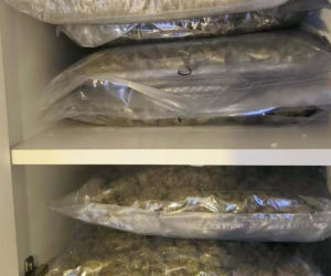 Ponad 75 kg narkotyków w Bydgoszczy! Policja zlikwidowała magazyn wart miliony