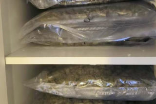 Ponad 75 kg narkotyków w Bydgoszczy! Policja zlikwidowała magazyn wart miliony