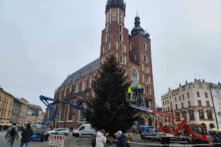 Kraków gotowy na święta! Na Rynku Głównym stanęła choinka