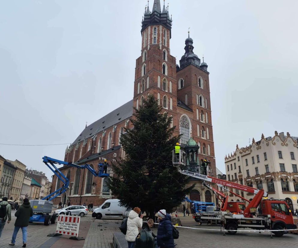 Kraków gotowy na święta! Na Rynku Głównym stanęła choinka