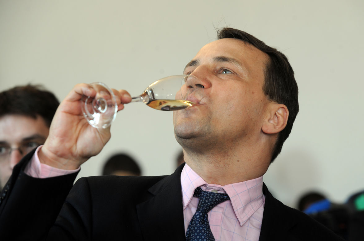 Radek Sikorski
