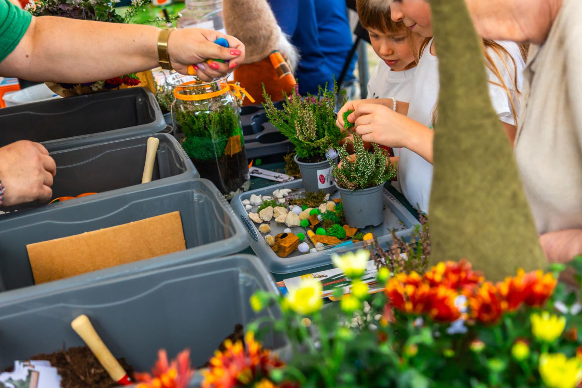 Wielki piknik kwietny finał 42. edycji konkursu „Warszawa w kwiatach”