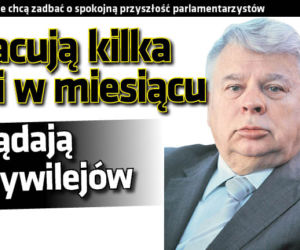 Pracują kilka dni w miesiącu a żądają przywilejów