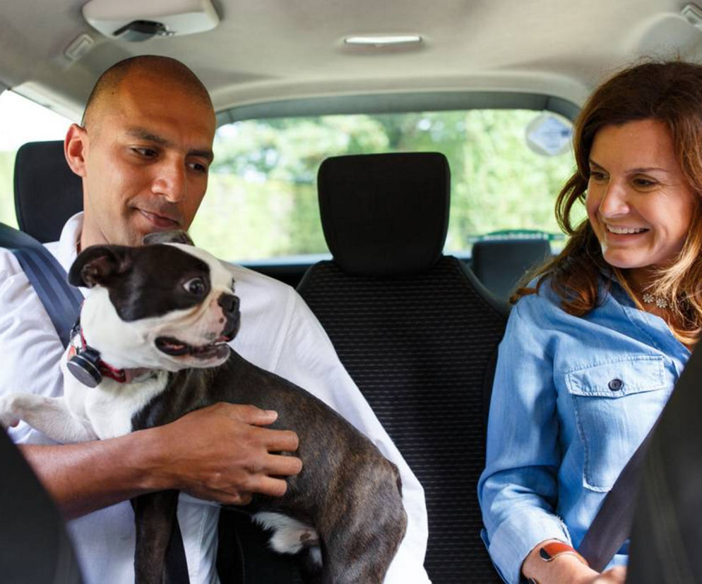 Uber Pets