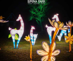 Lumina Park