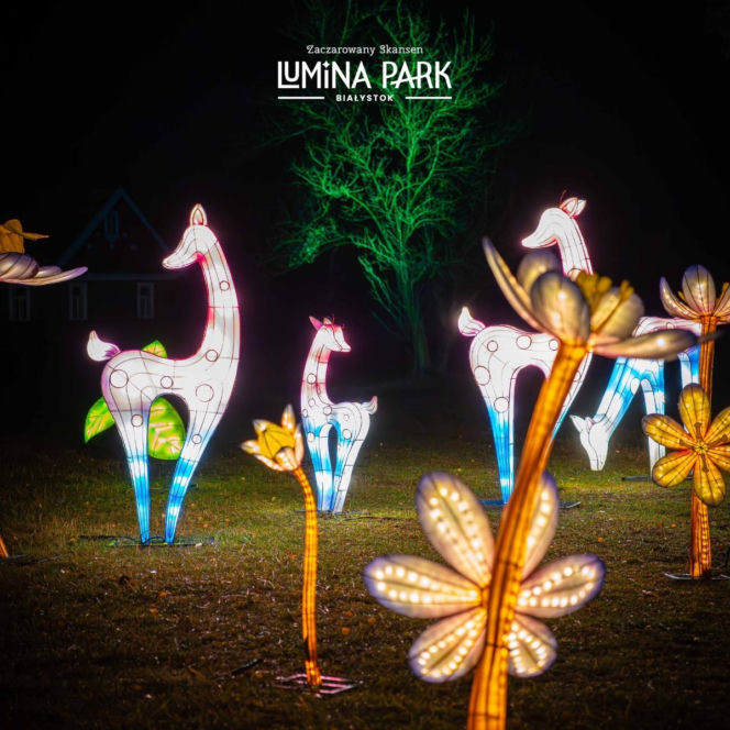 Lumina Park