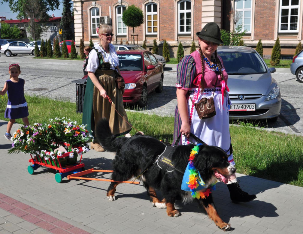 Zjazd Berneńczyków - Tarnów w tricolorze