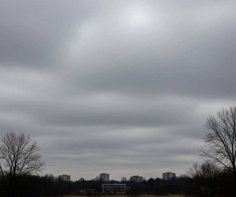 Szerokie ujęcie prezentuje ponury krajobraz miejski w szarych odcieniach, dominowany przez zachmurzone niebo, które zajmuje ponad połowę kadru. Na dole kadru widoczne są sylwetki nagich drzew i krzewów, tworzące ciemną, niemal czarną linię horyzontu. Pomiędzy koronami drzew, w oddali, rozłożone są białe budynki mieszkalne i niższa zabudowa, z których centralny budynek wyróżnia się brązowym dachem.
