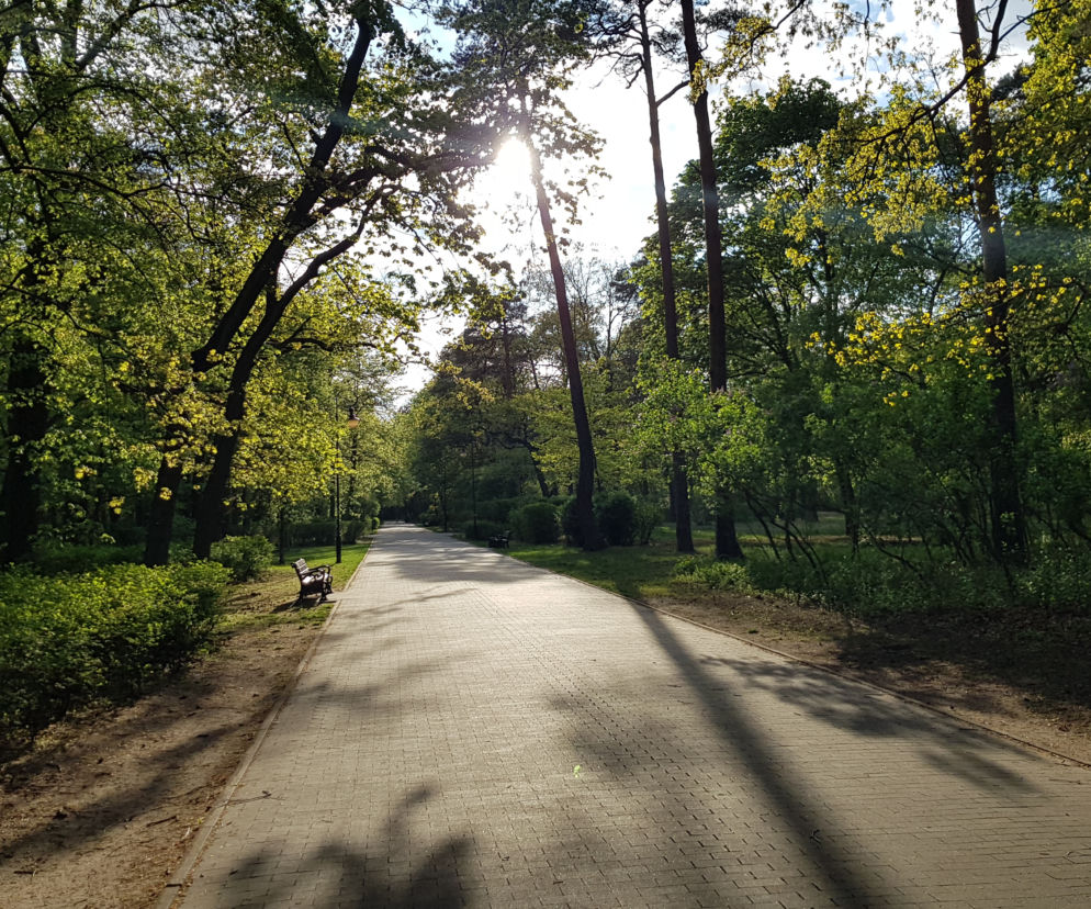 Park Bydgoski w Toruniu